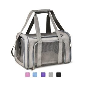 Travel Pet Carrier
